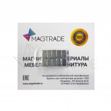 Магнит неодимовый прямоугольник 10х10х6 мм, комплект 10 шт, Magtrade