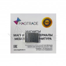 Магнит неодимовый прямоугольник 20х10x2 мм, комплект - 10 шт, Magtrade